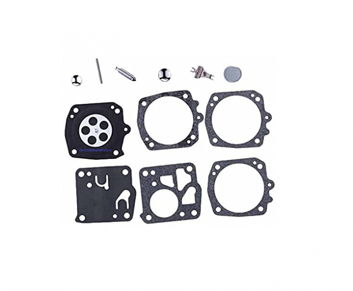 Carburetor repair kit nel gruppo  presso GPLSHOP (5062763-01)