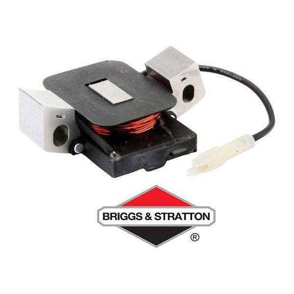 Alternatore nel gruppo  presso GPLSHOP (794103)