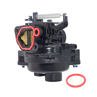 Carburatore nel gruppo  presso GPLSHOP (84001033)